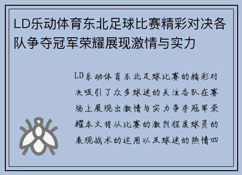 LD乐动体育东北足球比赛精彩对决各队争夺冠军荣耀展现激情与实力